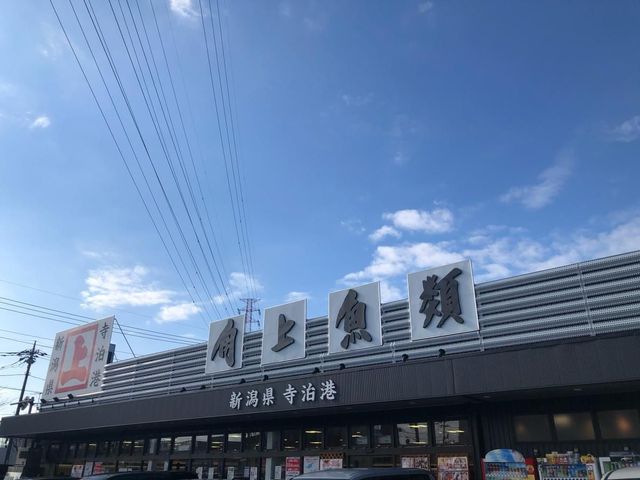 ��ʌ�����s�k���� �̐V�z��ˌ��Ă̎��ӊ�