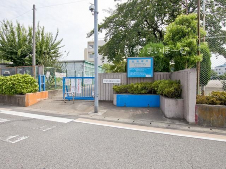 周辺環境　戸田市立美女木小学校 徒歩4分。 260m