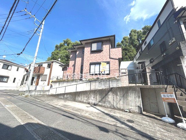 ʌ܎s΋厚q ̒ÈˌĂ̌nOώʐ^