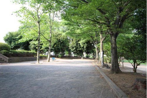 ʌˎs厚Ж ̒ÈˌĂ̎ӊ