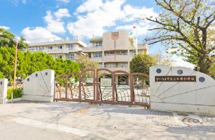 ʌ܎sYa匴2ڂ̐VzˌĂ̎ӊ