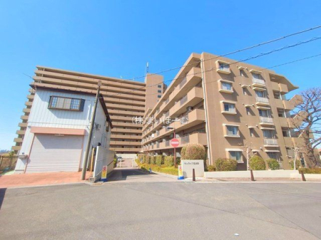 ʌs厚 ̒Ã}V̌nOώʐ^