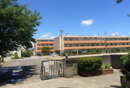 ʌ܎s΋厚\248-25̒ÈˌĂ̎ӊ