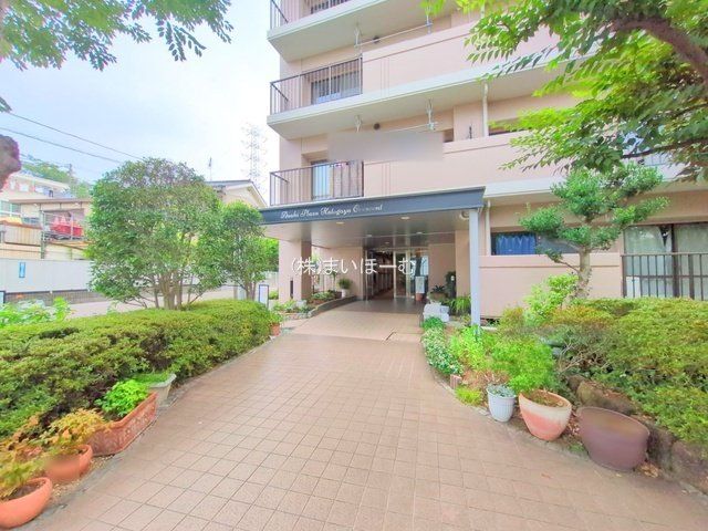 ��ʌ�����s�厚�� �̒��Ã}���V�����̌��n�O�ώʐ^