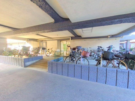 ��ʌ�����s���L1���ڂ̒��Ã}���V�����̌��n�O�ώʐ^